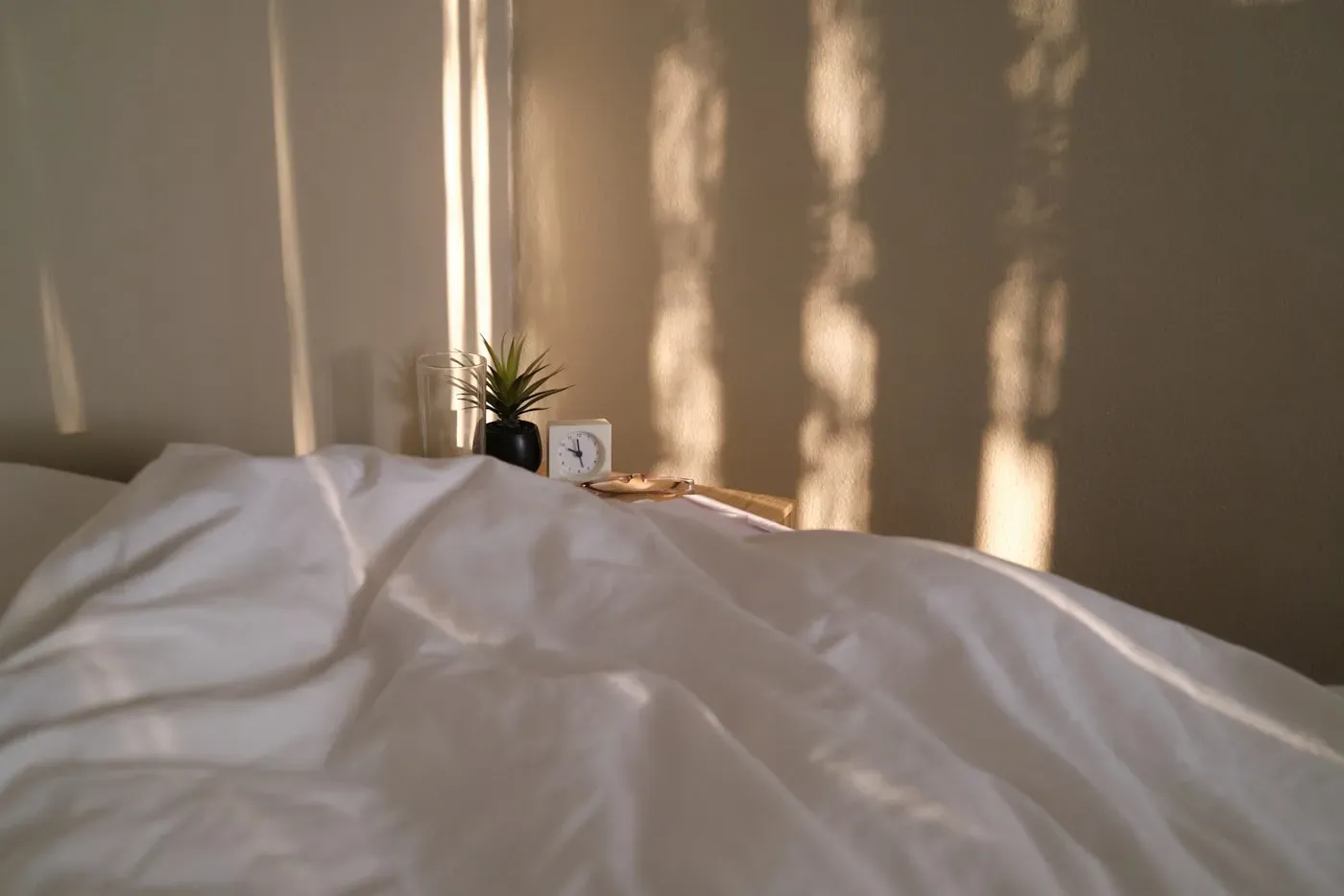 Bedding Sets — Coordinated sets for a restful bedroom.